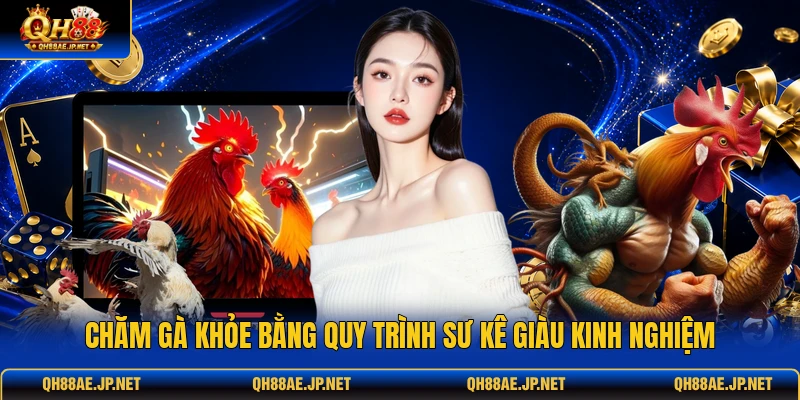 Chăm gà khỏe bằng quy trình sư kê giàu kinh nghiệm Chăm gà khỏe bằng quy trình sư kê giàu kinh nghiệm