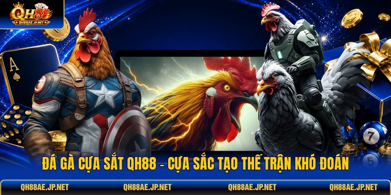 Đá Gà Cựa Sắt QH88 - Cựa Sắc Tạo Thế Trận Khó Đoán