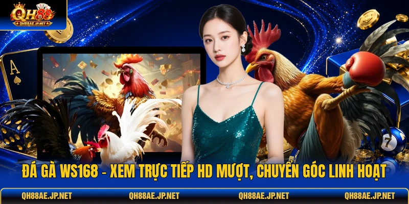 Đá Gà WS168 - Xem Trực Tiếp HD Mượt, Chuyển Góc Linh Hoạt