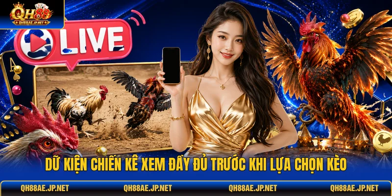 Dữ kiện chiến kê xem đầy đủ trước khi lựa chọn kèo