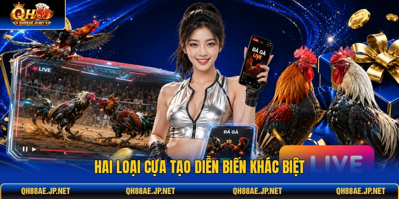 Hai loại cựa tạo diễn biến khác biệt Hai loại cựa tạo diễn biến khác biệt